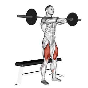 Animated demonstration of the Front Squat exercise