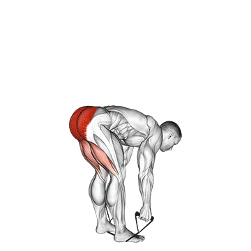Animated demonstration of the Stiff-Leg Deadlift exercise